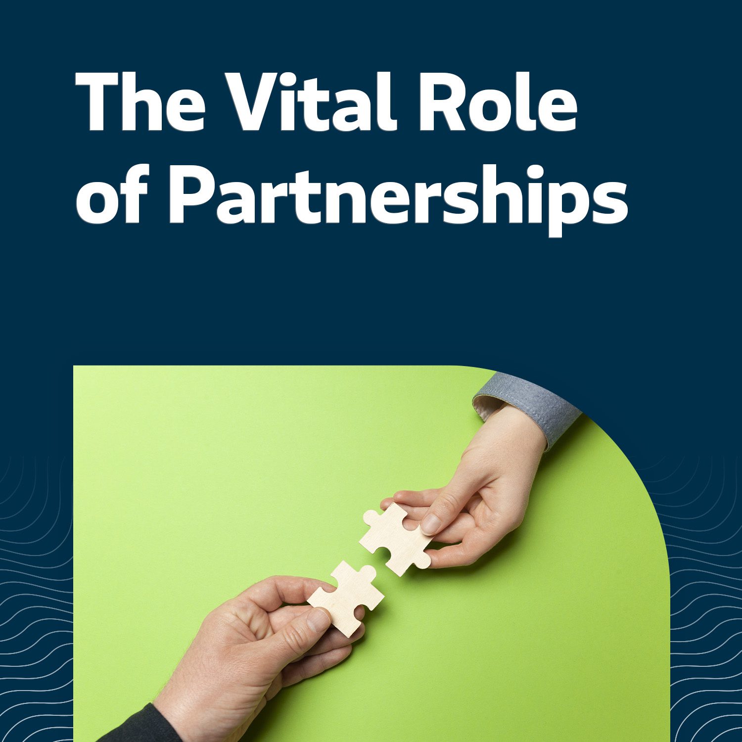 Partnerships in Business Growth