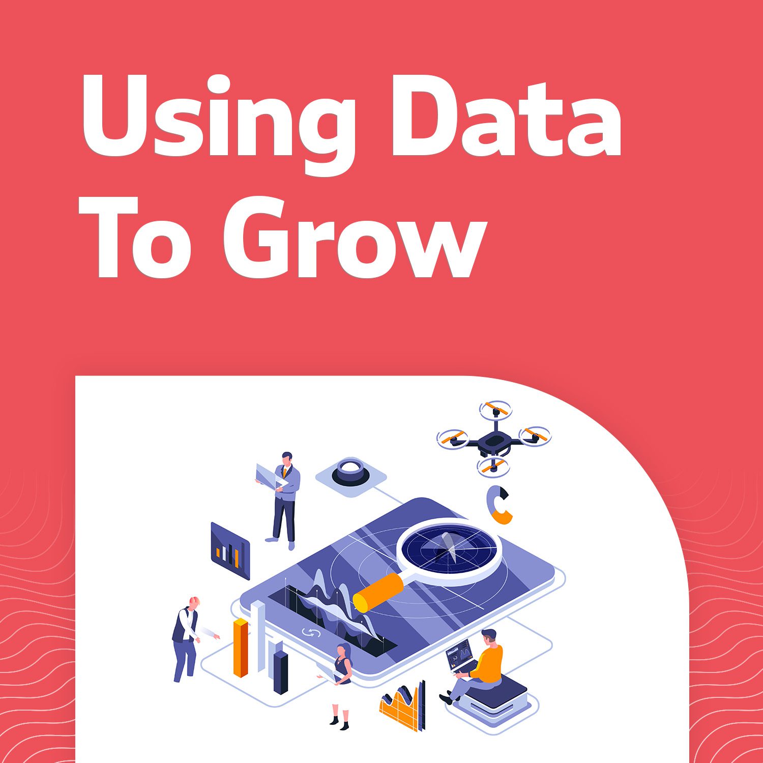 Using Data for Growth