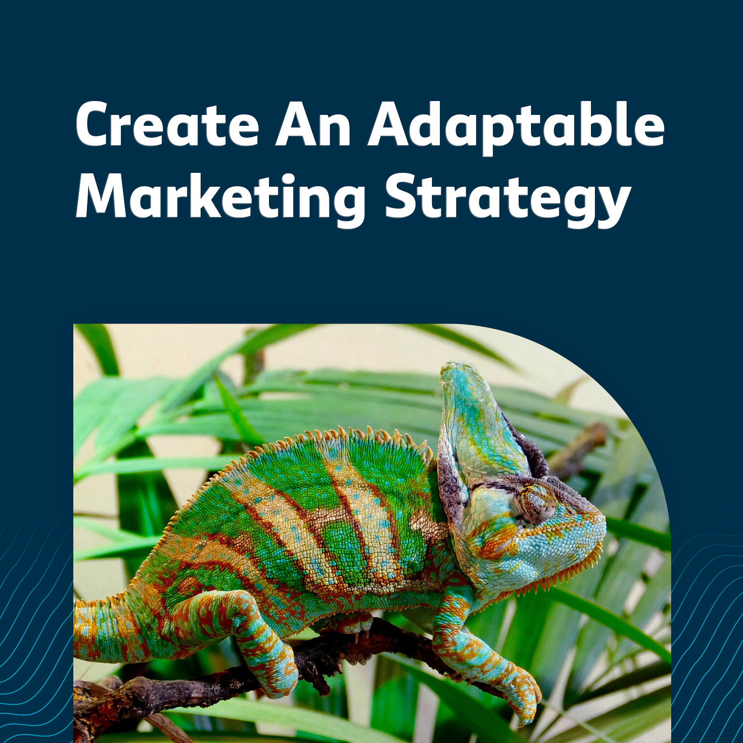 Adaptable Marketing Strategy