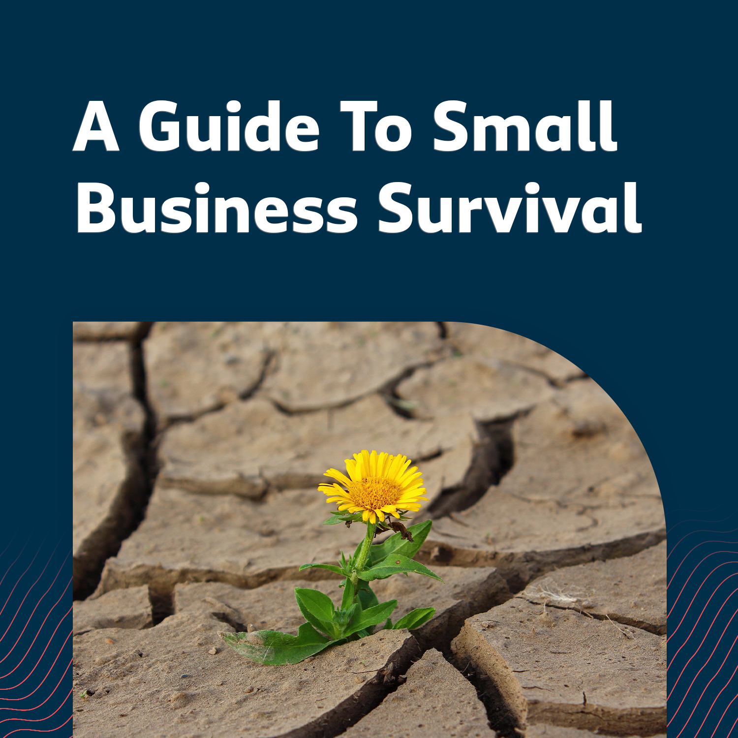 Small Business Survival