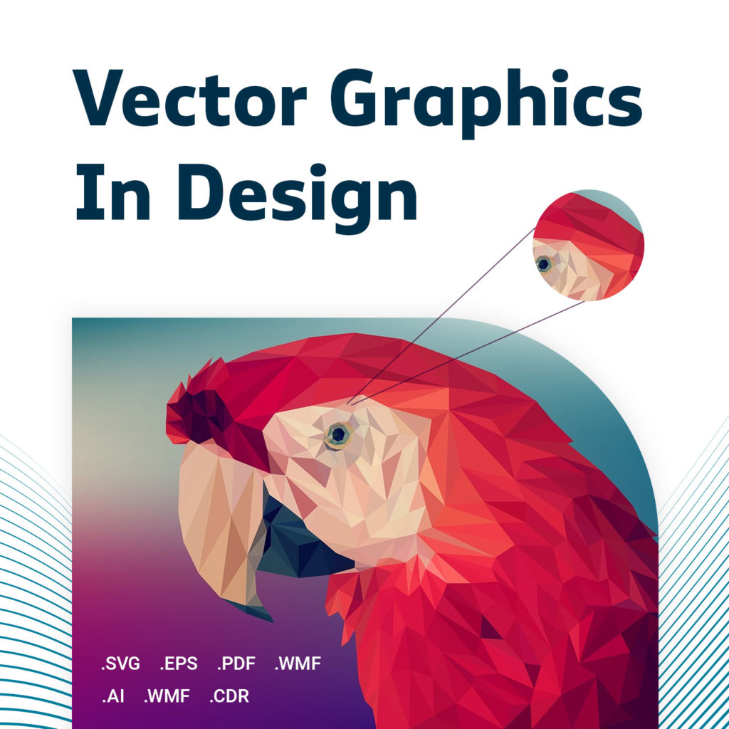 vector graphics in design