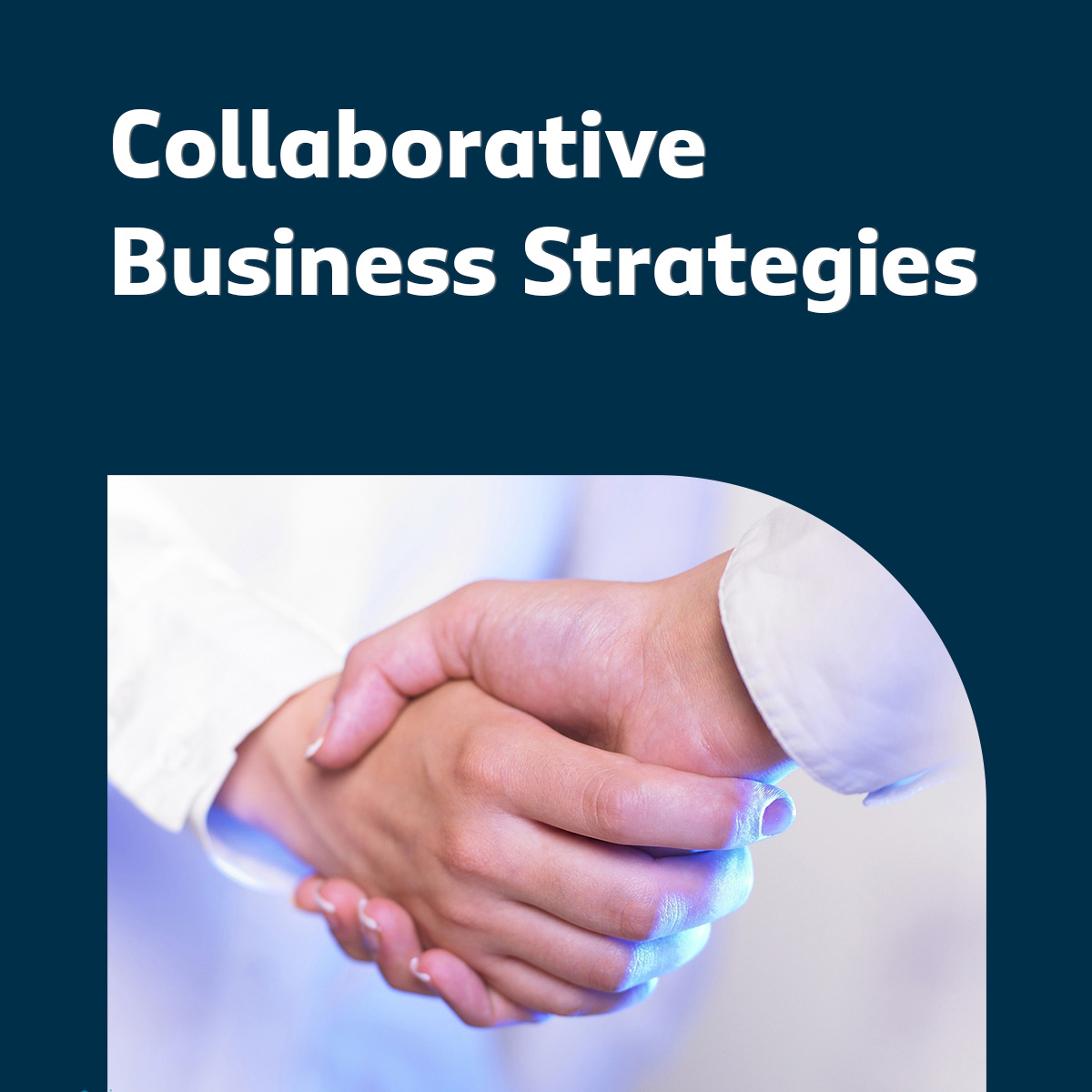 Collaborative Business Strategies