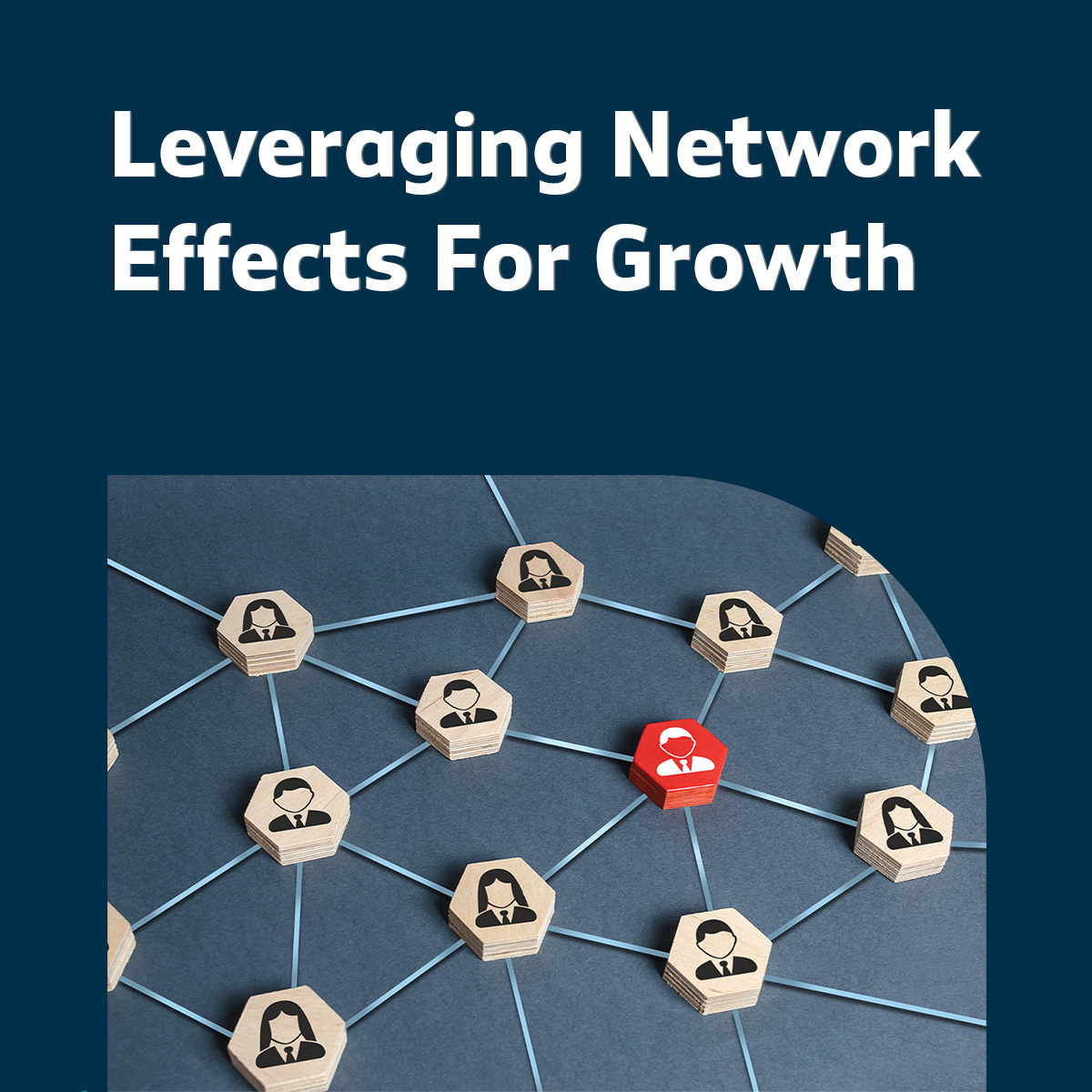 Leveraging Network Effects for Business Growth